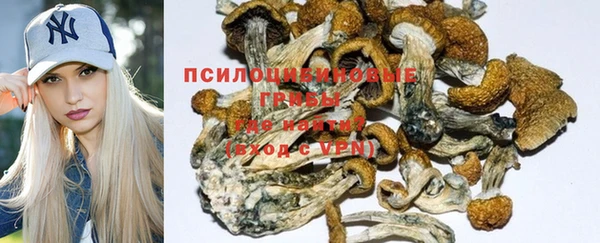 дурь Белоозёрский