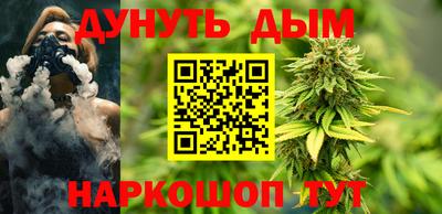 сатива Нальчик