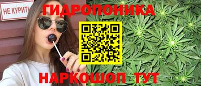сатива Нальчик