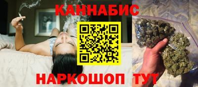 сатива Нальчик