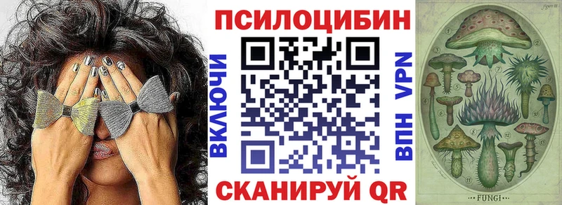 закладки  darknet наркотические препараты  Галлюциногенные грибы Magic Shrooms  Дагестанские Огни 