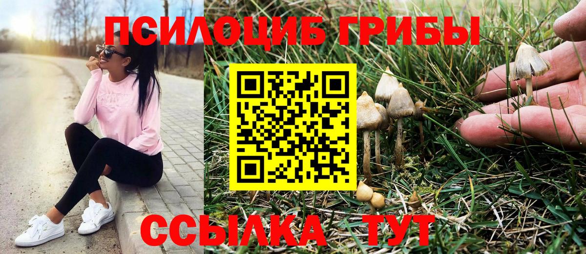 Дагестанские Огни  Галлюциногенные грибы GOLDEN TEACHER  Псилоцибиновые грибы ЛСД  Вход с VPN 